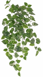 Golden pothos hanger 80cm brandvertragend